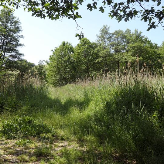 Albersbacher Riedwiesen