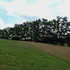 Magerwiese beim Lixhof