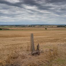 Hrušeň u Svídnice