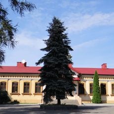 Exaltation of the Holy Cross church in Brzeziny - Vicarage