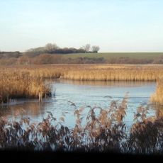 Stodmarsh National Nature Reserve