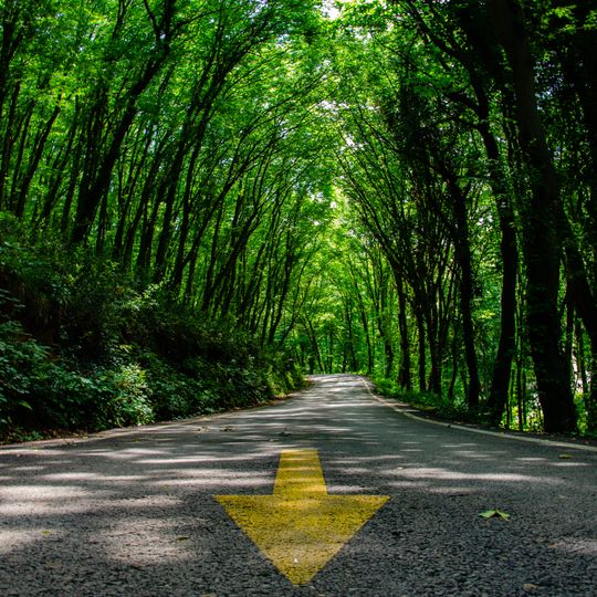 Fatih Sultan Mehmet Nature Park