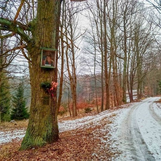 Obrázek v Bludově u cesty na Háj