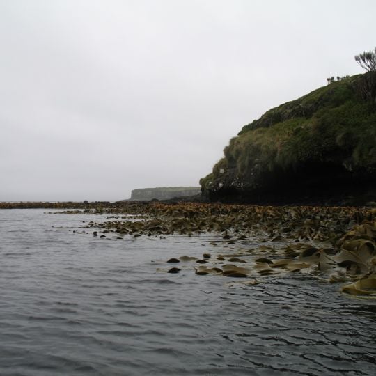 Enderby Island