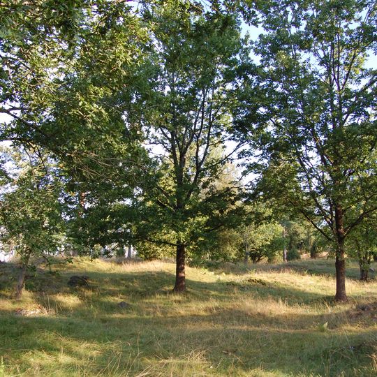 Gräberfeld von Uppkåra