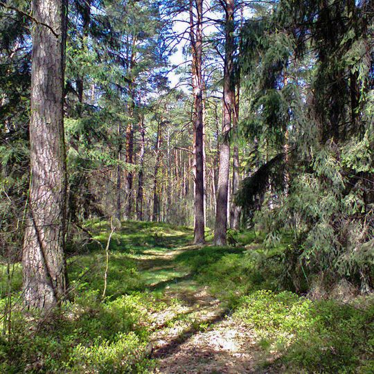 Rezerwat przyrody Czarny Kąt