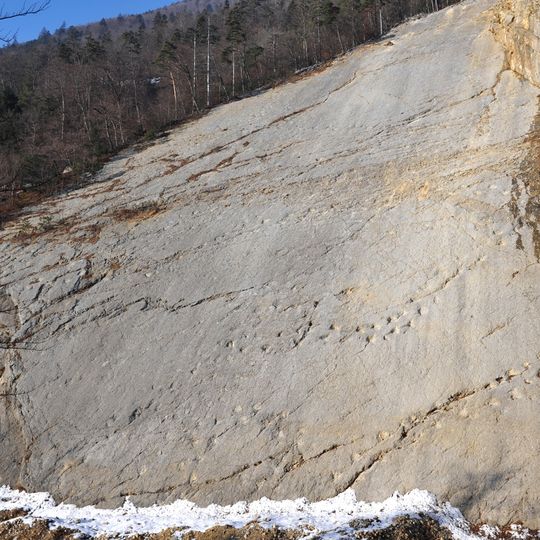 Dinosaur plate of Lommiswil