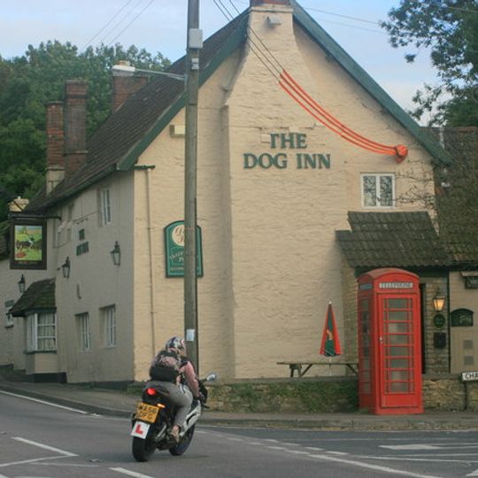 Dog Inn
