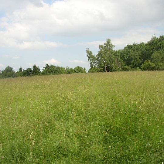 Hradišťanská louka