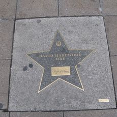 Broad Street Walk of Stars - David Harewood MBE