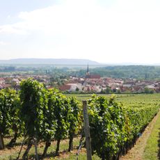 Sommeracher Katzenkopf