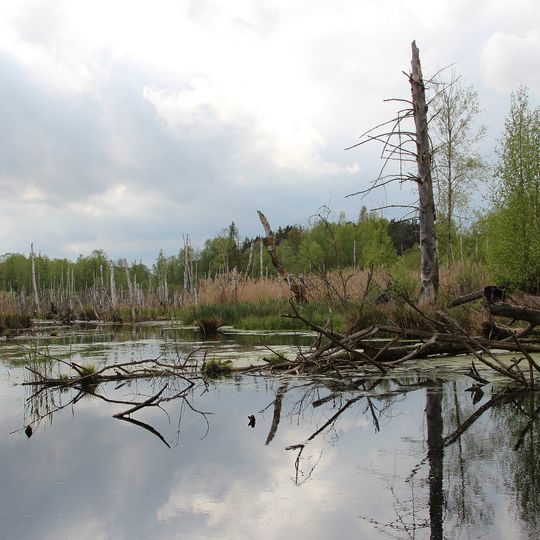 Prackendorfer und Kulzer Moos