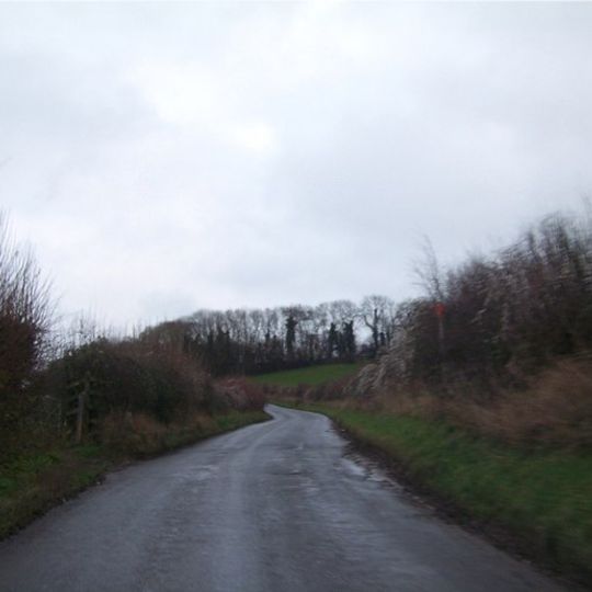 Cleaves Wood