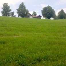 Buchberg (Kocheler Berge)