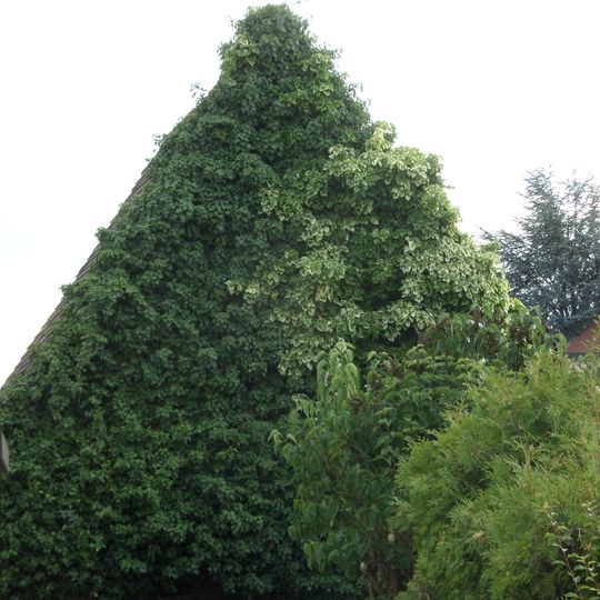 Kleinhaus in Rückersdorf