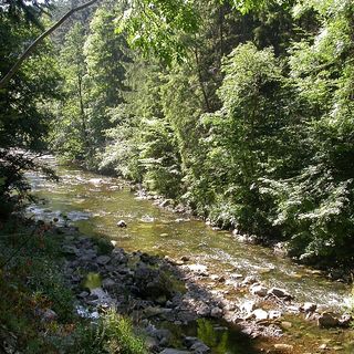 Garganta do rio Wutach