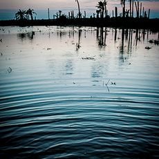 Fondet de la Senieta