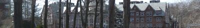 Panoramic View 1