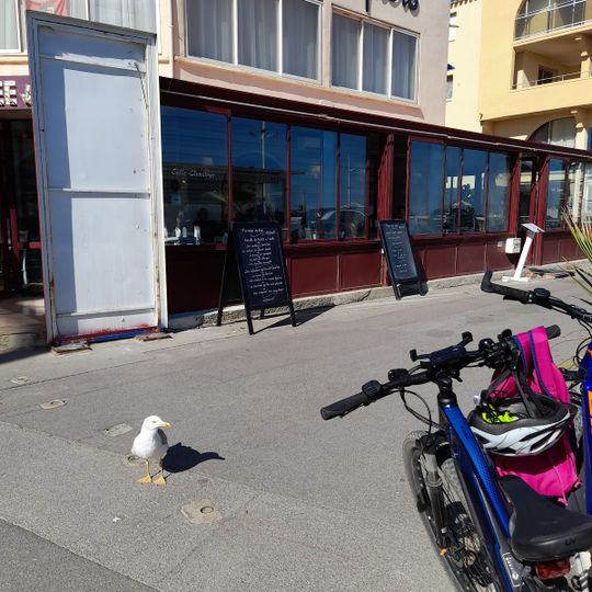 Le Lamparo