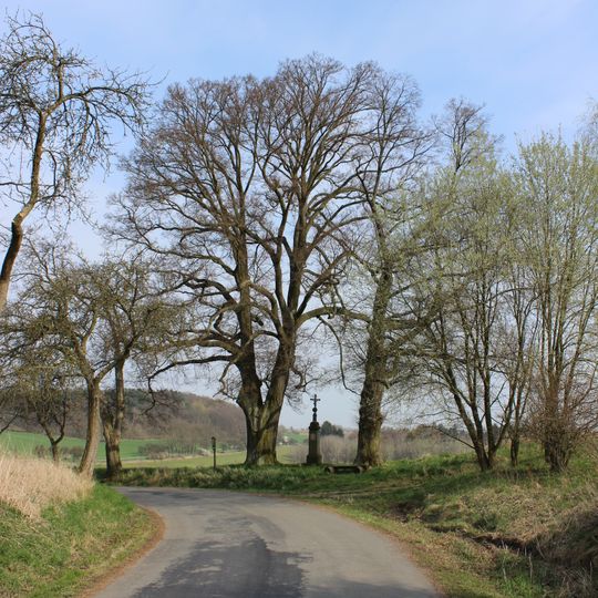 2 kusy lípy srdčité