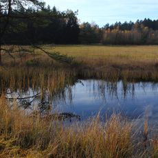 Brandmoos und Hauerin