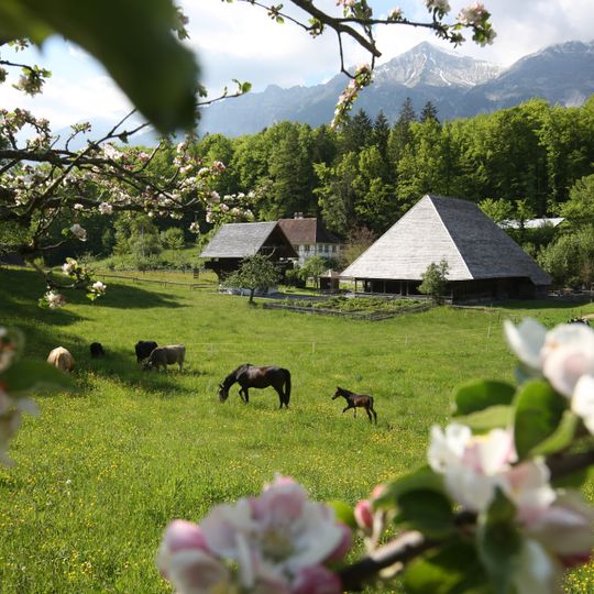 Ballenberg, Swiss Open-Air Museum