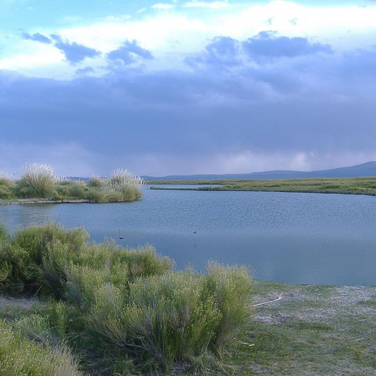 Llancanelo Lagoon