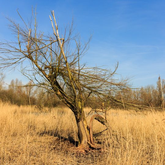 Nationalpark Nieuw Land
