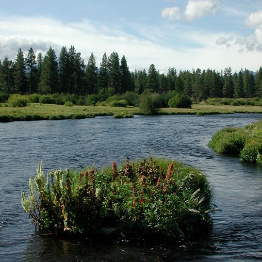 Metolius River