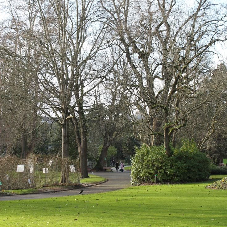 Jardin des Plantes de Nantes