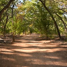 Rio Grande Valley State Park