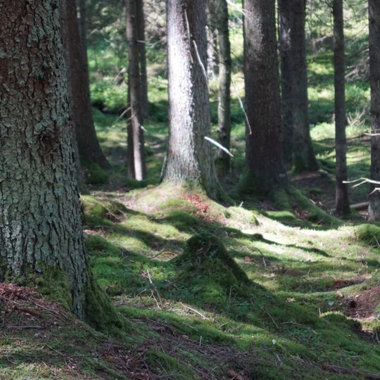Verleskogens naturreservat