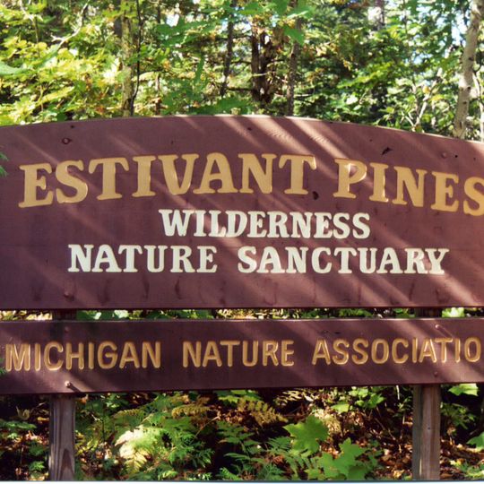 Estivant Pines