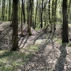 Novobydžovská tabule