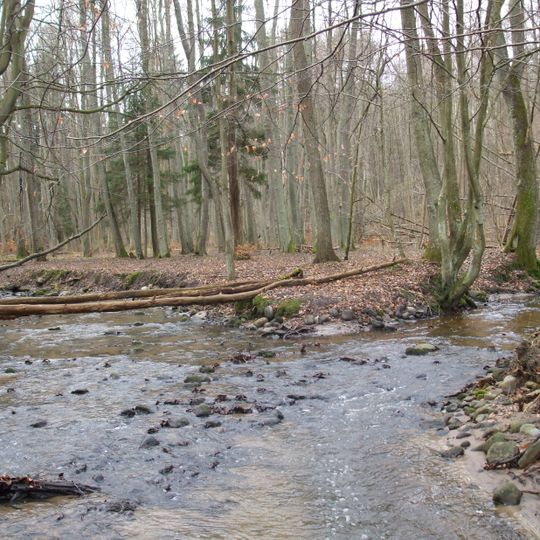 Rezerwat przyrody Kacze Łęgi