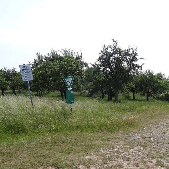 Magertriften von Ober-Mörlen und Ostheim