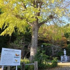 Myōon-in Temple