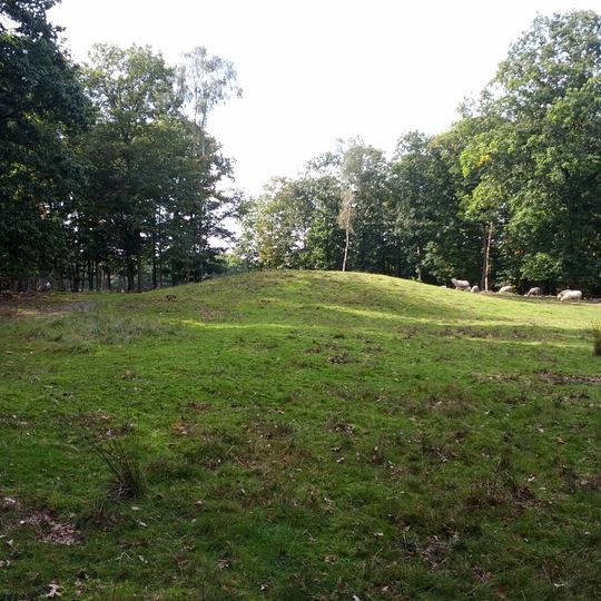 Terrein waarin elf grafheuvels