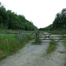 Trimley Marshes