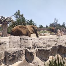 Zoológico de San Juan de Aragón