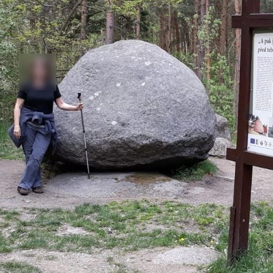 Category:Jesenický viklan