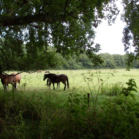 Terrein waarin bewoningssporen