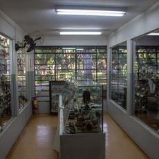 Museu de História Natural Professor Antônio Pergola