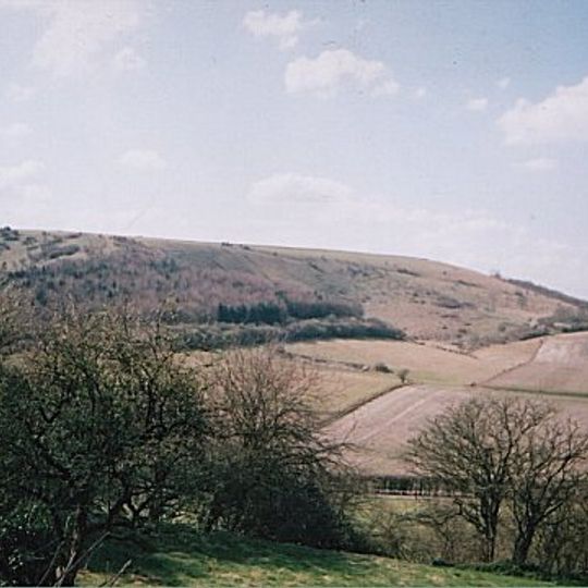 Watership Down