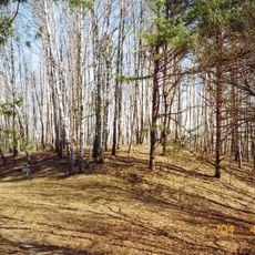 Kampų piliakalnis