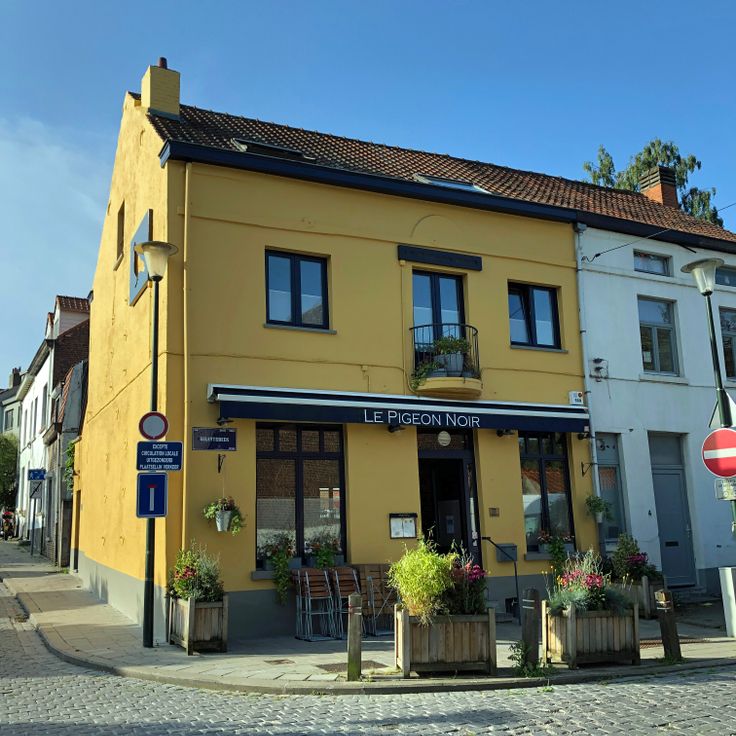 Le Pigeon Noir