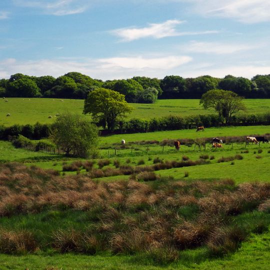 Combe Valley Countryside Park