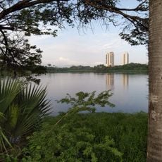 Área de Proteção Ambiental da Lagoa da Maraponga