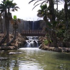 Parque El Palmeral