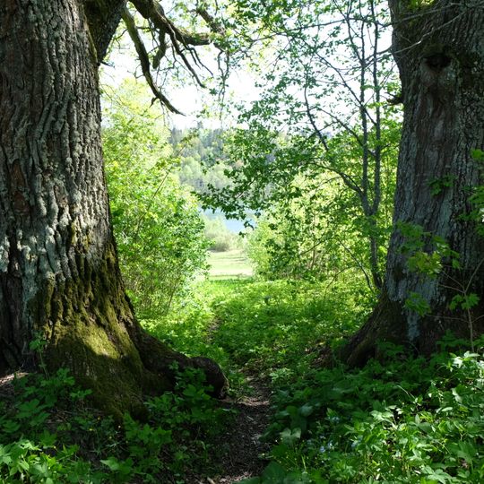 Усадьба «Затуленье»